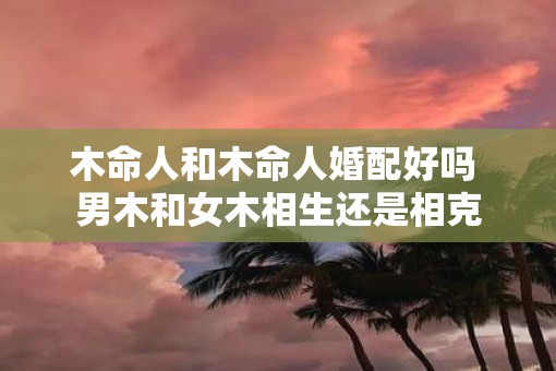 木命人和木命人婚配好吗 男木和女木相生还是相克