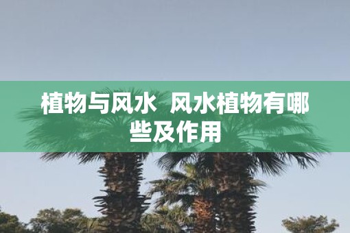 植物与风水  风水植物有哪些及作用
