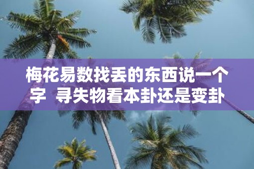 梅花易数找丢的东西说一个字  寻失物看本卦还是变卦