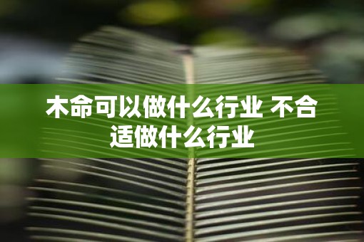 木命可以做什么行业 不合适做什么行业