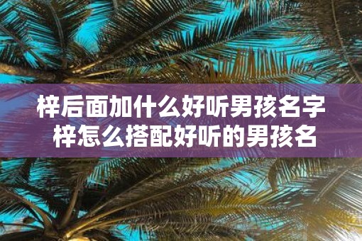 梓后面加什么好听男孩名字 梓怎么搭配好听的男孩名字