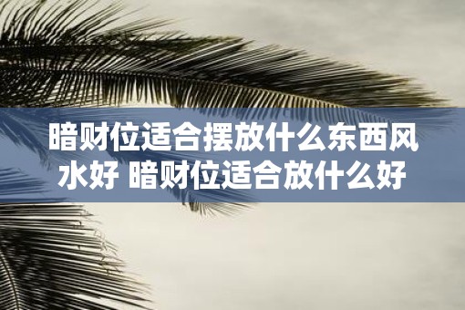 暗财位适合摆放什么东西风水好 暗财位适合放什么好