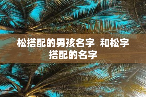 松搭配的男孩名字  和松字搭配的名字