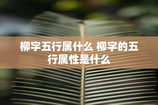 柳字五行属什么 柳字的五行属性是什么
