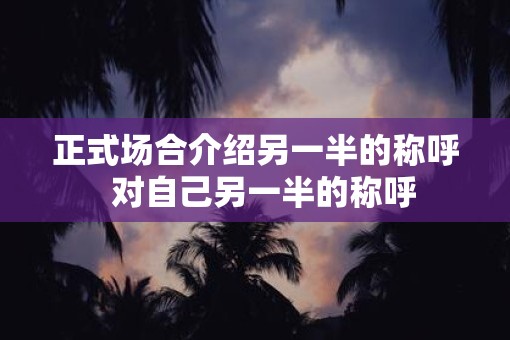 正式场合介绍另一半的称呼 对自己另一半的称呼 正式场合介绍另一半的称呼 对自己另一半的称呼