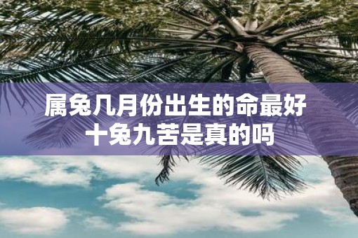 属兔几月份出生的命最好 十兔九苦是真的吗
