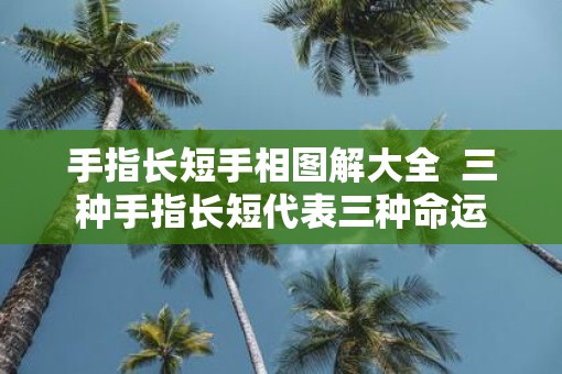 手指长短手相图解大全  三种手指长短代表三种命运