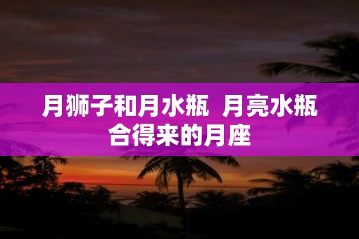 月狮子和月水瓶  月亮水瓶合得来的月座