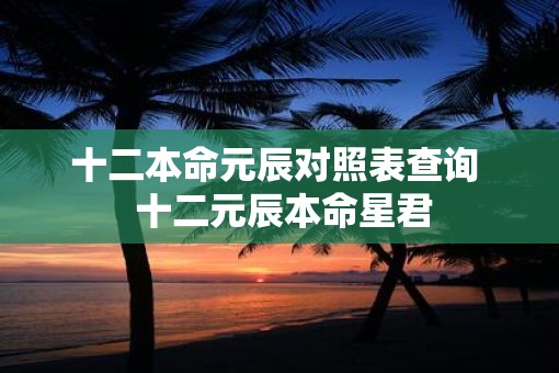 十二本命元辰对照表查询  十二元辰本命星君