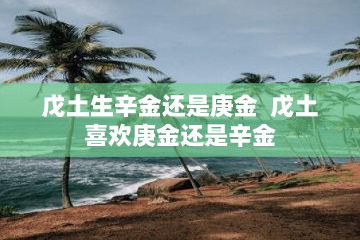 戊土生辛金还是庚金  戊土喜欢庚金还是辛金