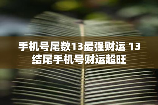 手机号尾数13最强财运 13结尾手机号财运超旺