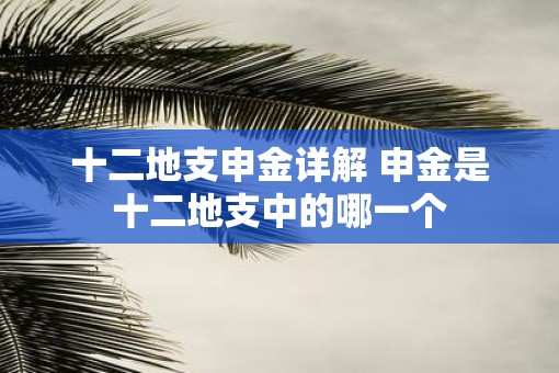 十二地支申金详解 申金是十二地支中的哪一个 十二地支申金详解 申金是十二地支中的哪一个