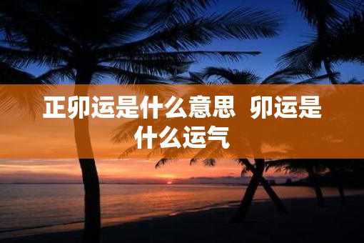 正卯运是什么意思  卯运是什么运气