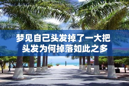 梦见自己头发掉了一大把 头发为何掉落如此之多