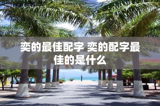 奕的最佳配字 奕的配字最佳的是什么