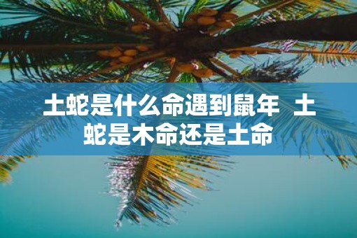 土蛇是什么命遇到鼠年  土蛇是木命还是土命