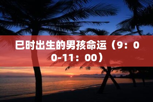 巳时出生的男孩命运（9：00-11：00）