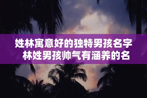 姓林寓意好的独特男孩名字  林姓男孩帅气有涵养的名字