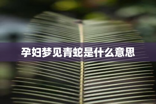 孕妇梦见青蛇是什么意思