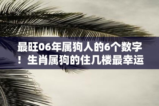 最旺06年属狗人的6个数字！生肖属狗的住几楼最幸运