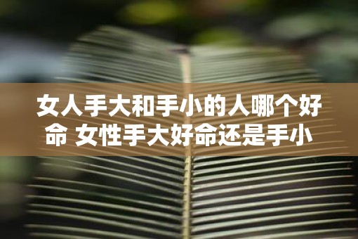 女人手大和手小的人哪个好命 女性手大好命还是手小好命