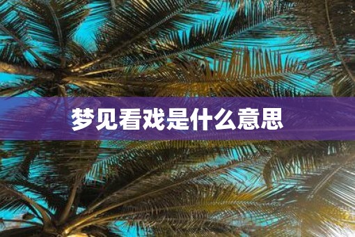 梦见看戏是什么意思