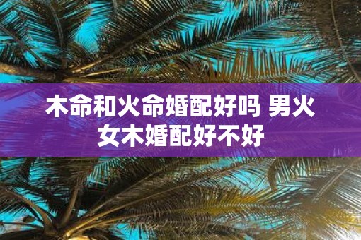 木命和火命婚配好吗 男火女木婚配好不好