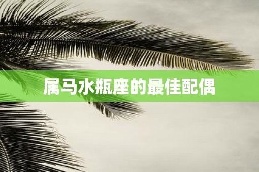 属马水瓶座的最佳配偶