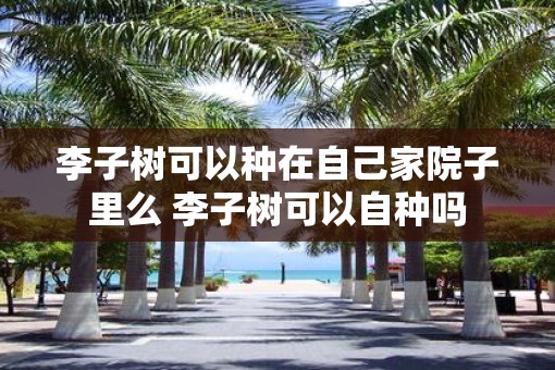 李子树可以种在自己家院子里么 李子树可以自种吗