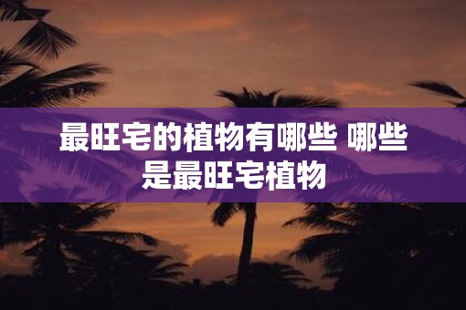 最旺宅的植物有哪些 哪些是最旺宅植物