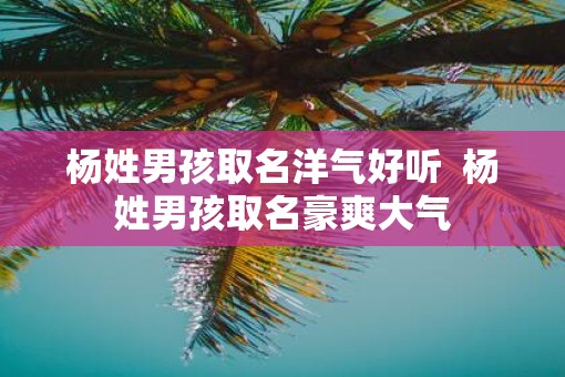杨姓男孩取名洋气好听  杨姓男孩取名豪爽大气