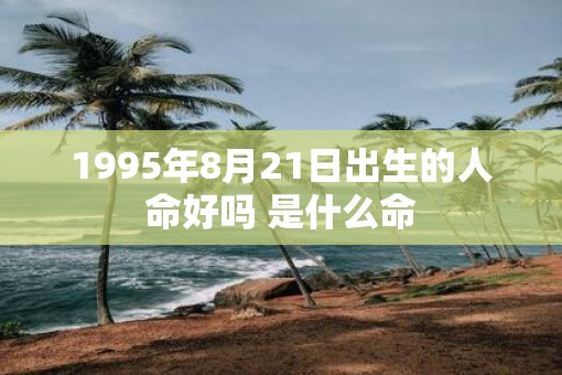 1995年8月21日出生的人命好吗 是什么命