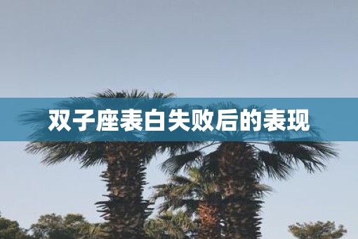 双子座表白失败后的表现