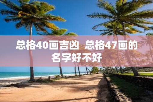 总格40画吉凶  总格47画的名字好不好