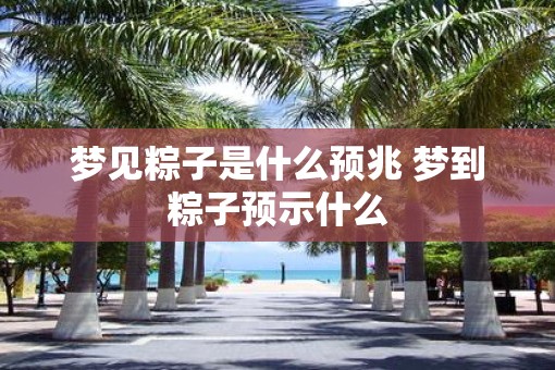 梦见粽子是什么预兆 梦到粽子预示什么