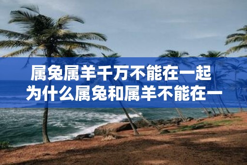 属兔属羊千万不能在一起 为什么属兔和属羊不能在一起
