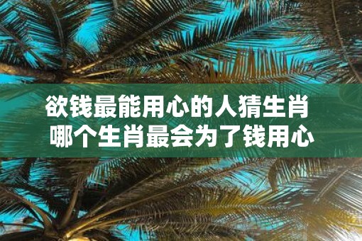 欲钱最能用心的人猜生肖 哪个生肖最会为了钱用心