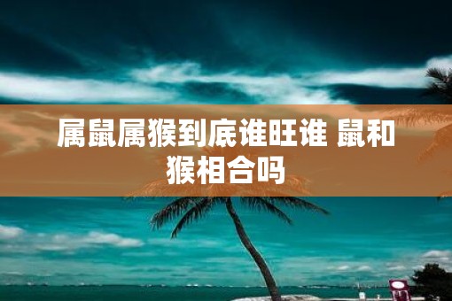 属鼠属猴到底谁旺谁 鼠和猴相合吗