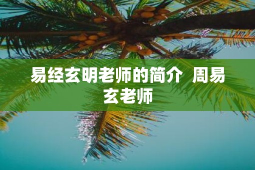 易经玄明老师的简介  周易玄老师