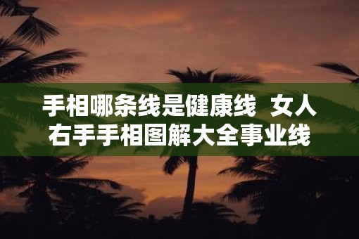 手相哪条线是健康线 女人右手手相图解大全事业线 手相哪条线是健康线 女人右手手相图解大全事业线