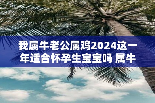 我属牛老公属鸡2025这一年适合怀孕生宝宝吗 属牛女人性格
