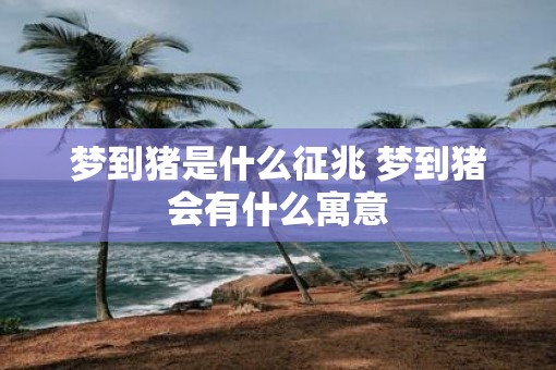 梦到猪是什么征兆 梦到猪会有什么寓意