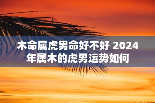 木命属虎男命好不好 2025年属木的虎男运势如何