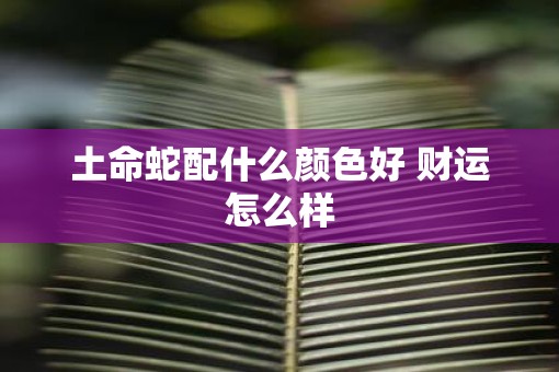 土命蛇配什么颜色好 财运怎么样