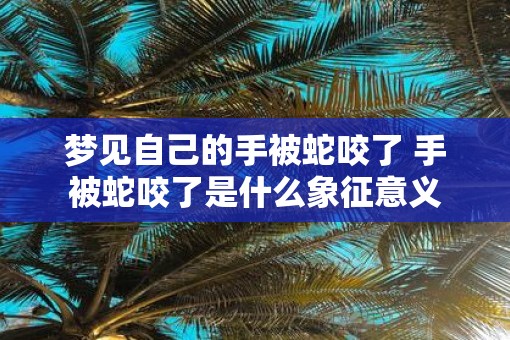 梦见自己的手被蛇咬了 手被蛇咬了是什么象征意义