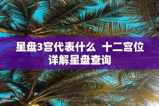 星盘3宫代表什么  十二宫位详解星盘查询