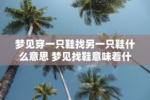 梦见穿一只鞋找另一只鞋什么意思 梦见找鞋意味着什么
