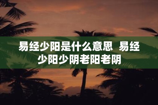 易经少阳是什么意思  易经少阳少阴老阳老阴