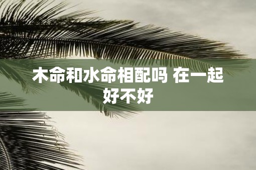 木命和水命相配吗 在一起好不好