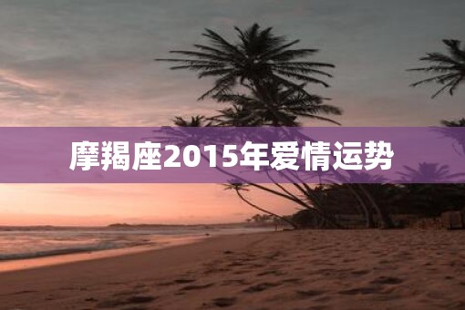 摩羯座2015年爱情运势